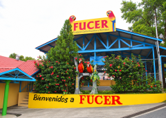 Entrada